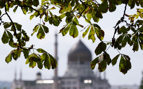 Der 48-Jährige Kretschmer wurde auf einer Vertreterversammlung seiner Partei mit 94,8 Prozent der Stimmen wie erwartet auf Platz eins der Landesliste gewählt. - Foto: Sebastian Kahnert/dpa Der 48-Jährige Kretschmer wurde auf einer Vertreterversammlung seiner Partei mit 94,8 Prozent der Stimmen wie erwartet auf Platz eins der Landesliste gewählt. - Foto: Sebastian Kahnert/dpa