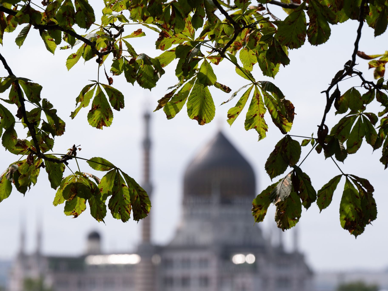 Der 48-Jährige Kretschmer wurde auf einer Vertreterversammlung seiner Partei mit 94,8 Prozent der Stimmen wie erwartet auf Platz eins der Landesliste gewählt. - Foto: Sebastian Kahnert/dpa
