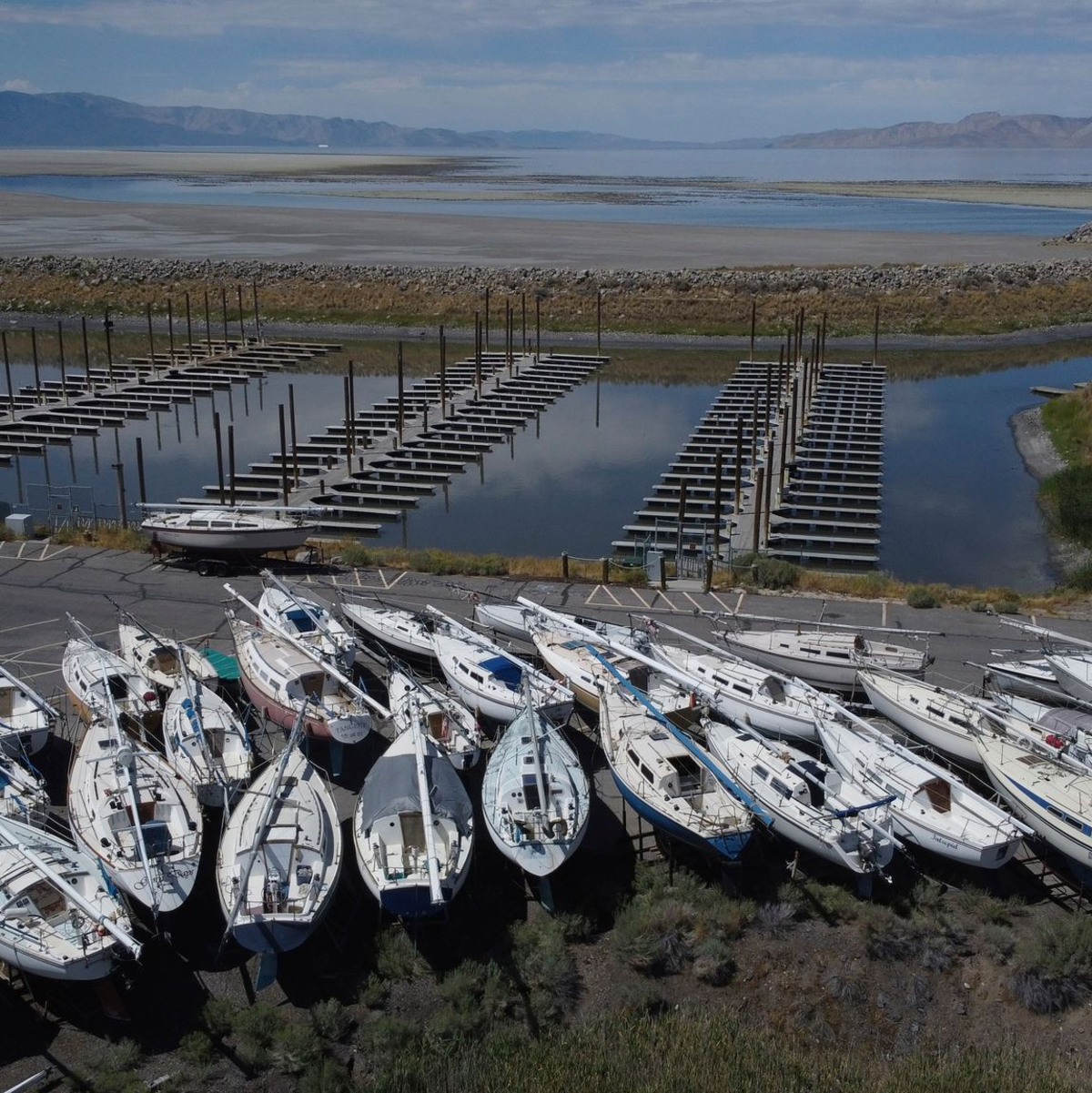 Extreme Dürren gibt es in vielen Ländern der Welt - sogar im Regenwald. (Archivbild) - Foto: Rick Bowmer/AP/dpa