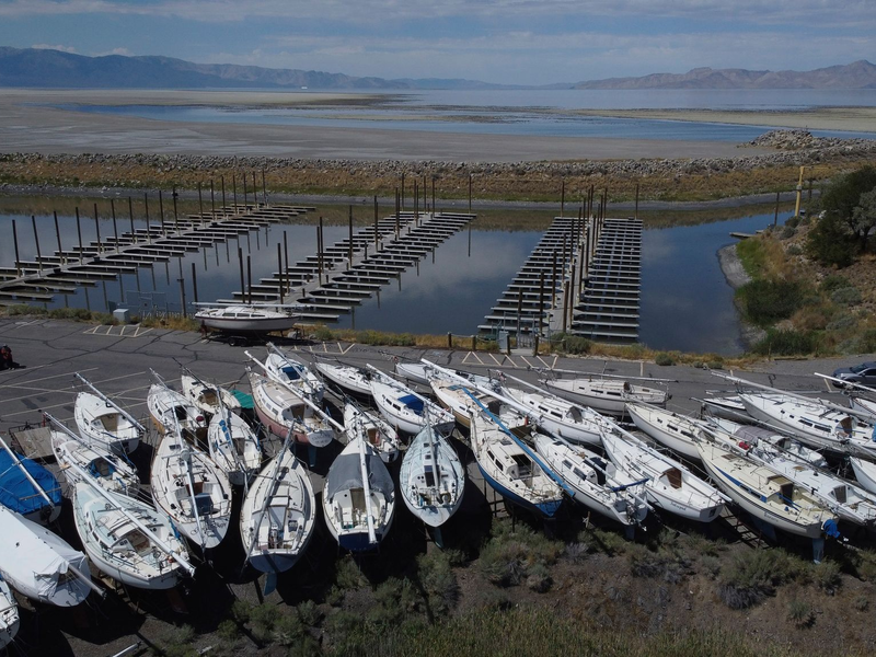 Extreme Dürren gibt es in vielen Ländern der Welt - sogar im Regenwald. (Archivbild) - Foto: Rick Bowmer/AP/dpa