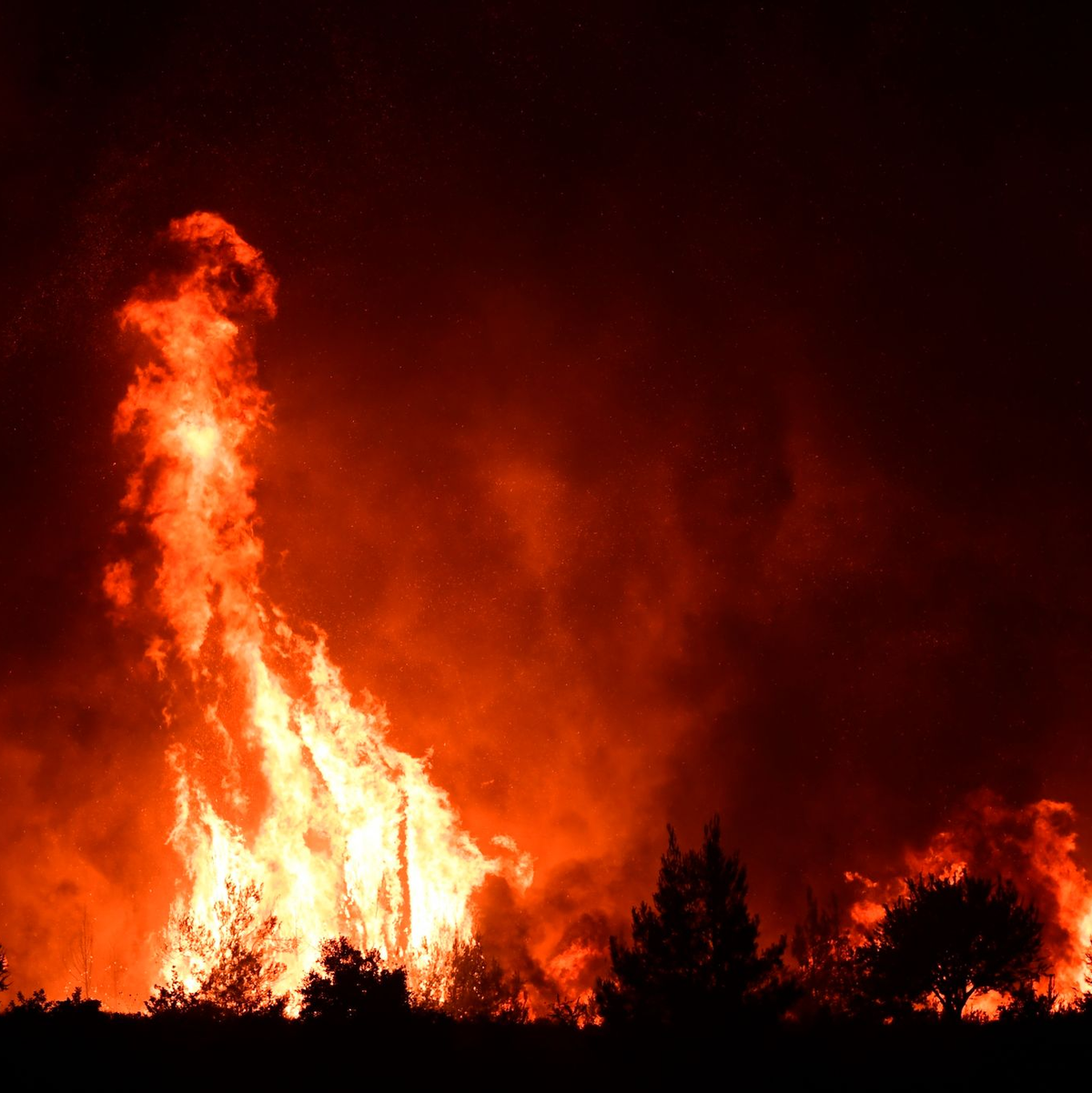 Ausgebrannte Autos in dem Dorf südöstlich von Athen.  - Foto: Michael Varaklas/AP/dpa