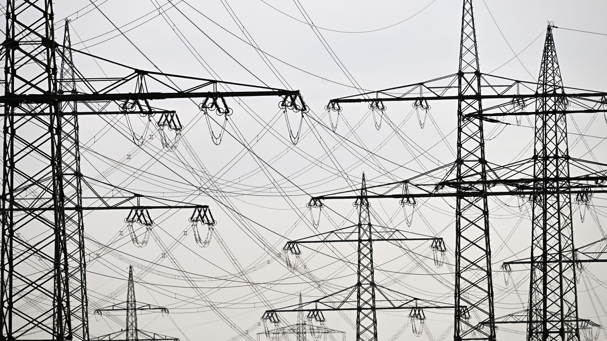 Der Ausbau der Stromnetze gilt als ein entscheidender Baustein für das Erreichen der Klimaneutralität im Jahr 2045. (Symbolbild) - Foto: Federico Gambarini/dpa