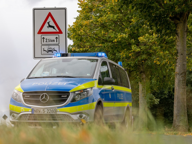 POL-COE: Billerbeck, L577/ Wildunfallzahlen senken - Foto: presseportal.de