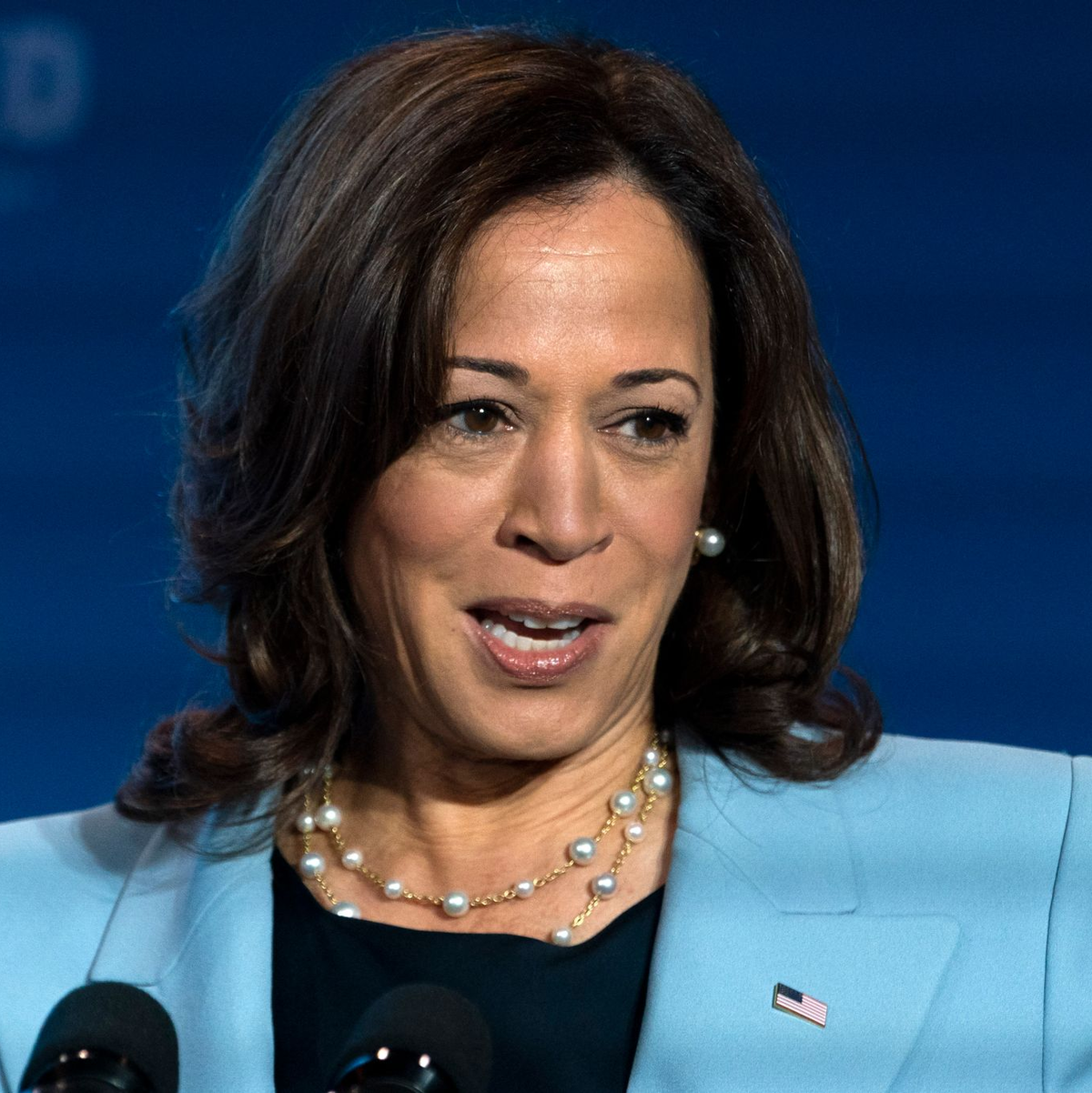 Die Wahlverliererin Harris rief ihre Anhänger auf, nicht den Mut zu verlieren. - Foto: Jacquelyn Martin/AP/dpa