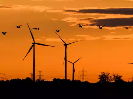 «Deutschland wird seine Klimaziele verfehlen», sagt die Klimawissenschaftlerin Brigitte Knopf. - Foto: Julian Stratenschulte/dpa