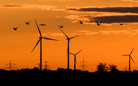 «Deutschland wird seine Klimaziele verfehlen», sagt die Klimawissenschaftlerin Brigitte Knopf. - Foto: Julian Stratenschulte/dpa