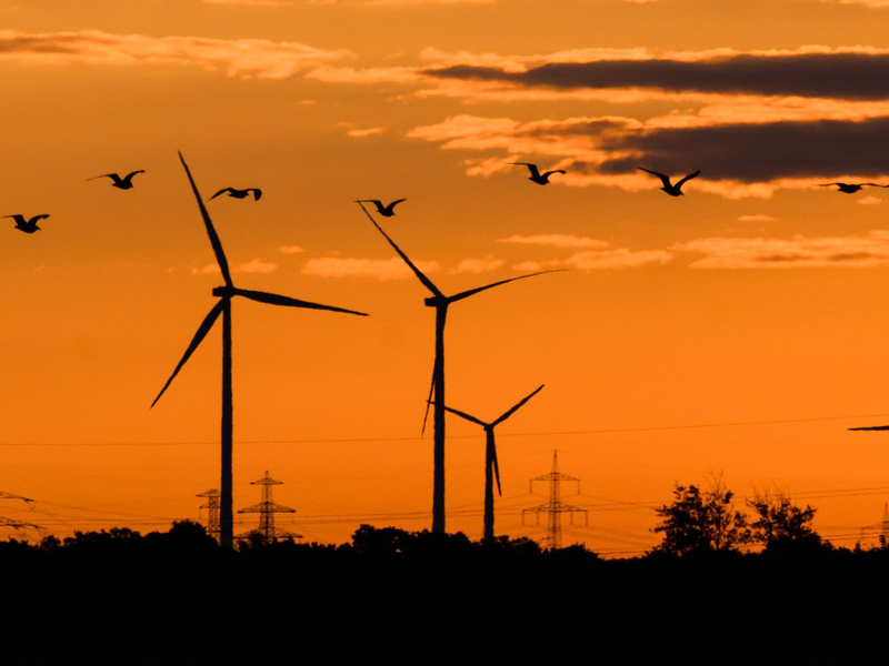 «Deutschland wird seine Klimaziele verfehlen», sagt die Klimawissenschaftlerin Brigitte Knopf. - Foto: Julian Stratenschulte/dpa