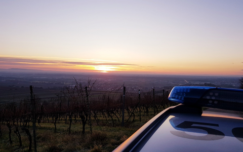 POL-PDNW: Verkehrsunfallflucht - Foto: presseportal.de
