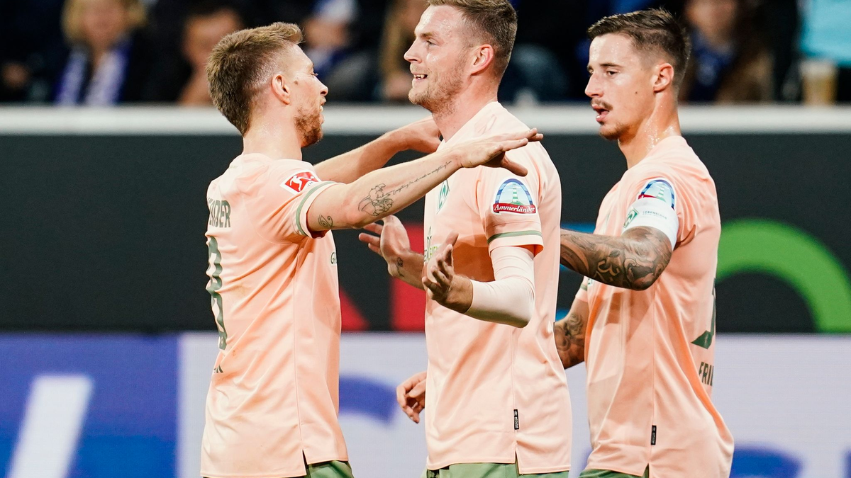 Da war die Welt für die TSG Hoffenheim noch in Ordnung: Jubel über das 1:0-Führungstor gegen Bremen. - Foto: Uwe Anspach/dpa