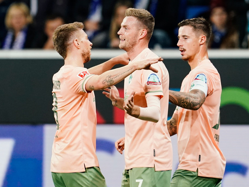 Da war die Welt für die TSG Hoffenheim noch in Ordnung: Jubel über das 1:0-Führungstor gegen Bremen. - Foto: Uwe Anspach/dpa