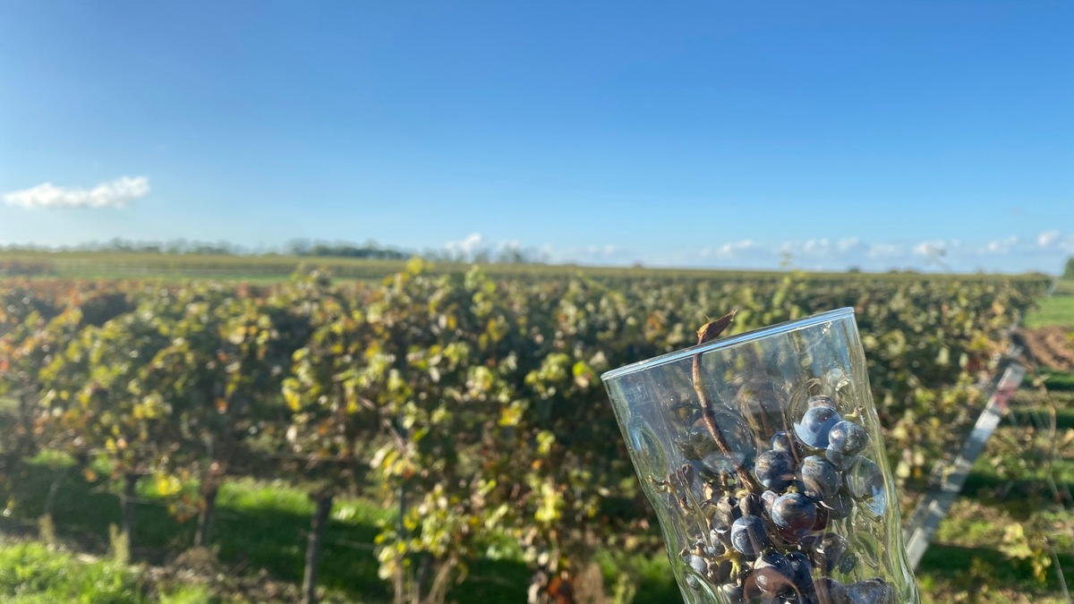 FW-MH: PKW-Brand auf der A40 - Foto: presseportal.de