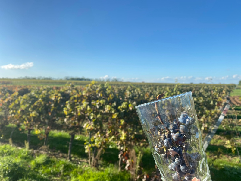 FW-MH: PKW-Brand auf der A40 - Foto: presseportal.de