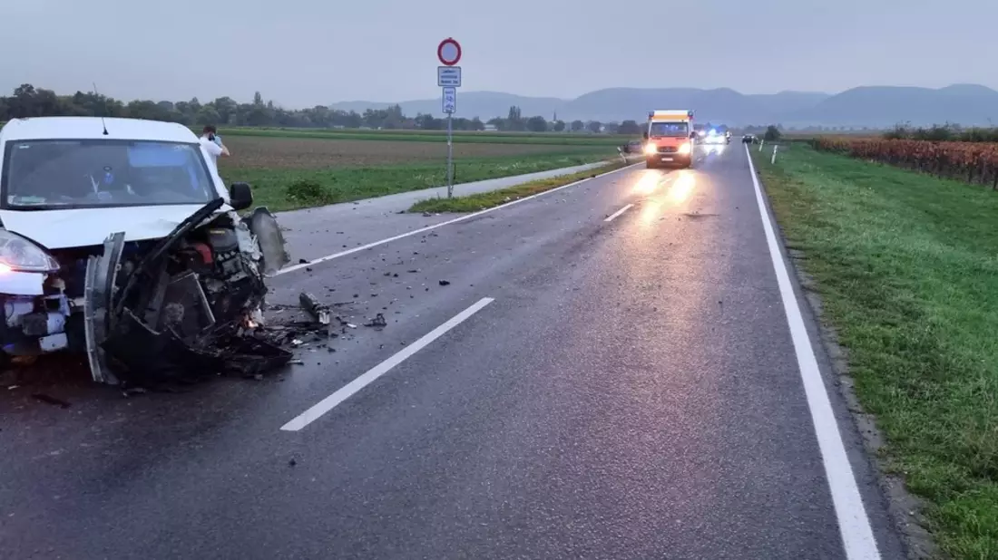 POL-PDLD: Altdorf - Vier Verletzte aufgrund Vorfahrtsmissachtung - Bild: presseportal.de