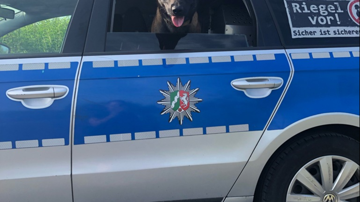 POL-DO: Diensthund Jack hilft bei Festnahme eines mutmaßlichen Einbrechers - zwei Tatverdächtige gestellt - Foto: presseportal.de