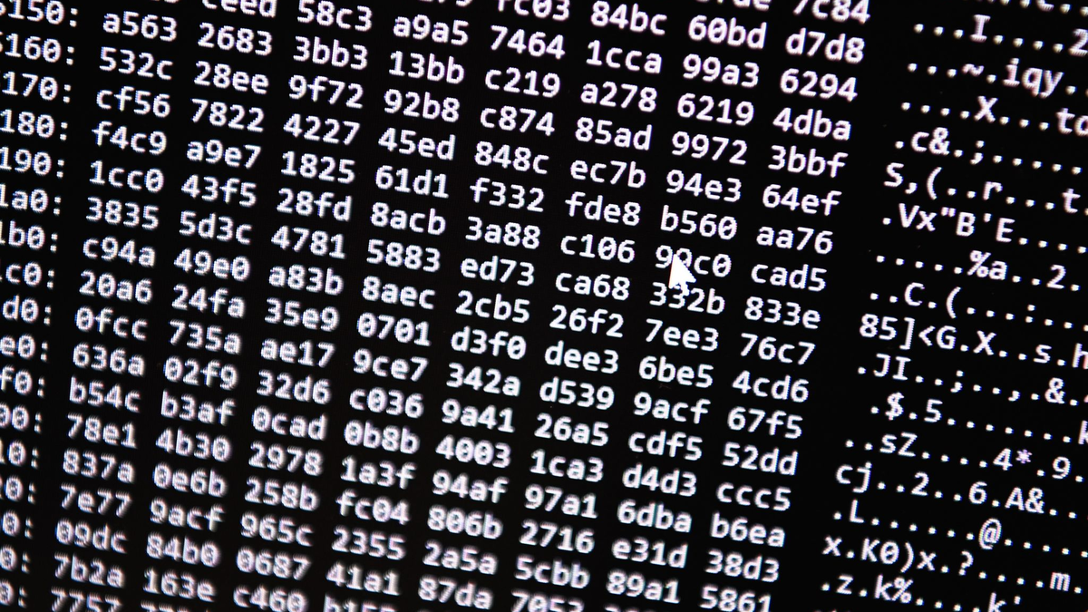 Ein Zahlencode läuft in der Zentralstelle Cybercrime Bayern (ZCB) über einen Bildschirm. - Foto: Nicolas Armer/dpa