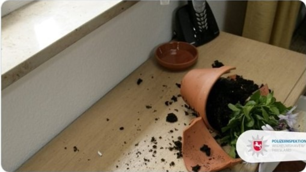 POL-AC: Einbruch in altes Polizeipräsidium: Polizei fasst 20-Jährigen - Foto: presseportal.de