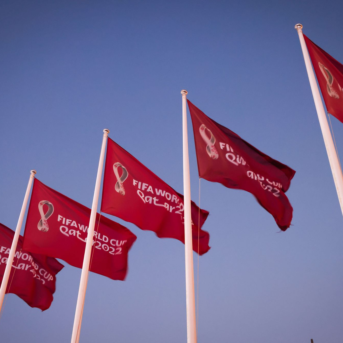 Der WM-Pokal ist im kommenden Sommer das Objekt der Begierde (Archivbild).  - Foto: Christian Charisius/dpa
