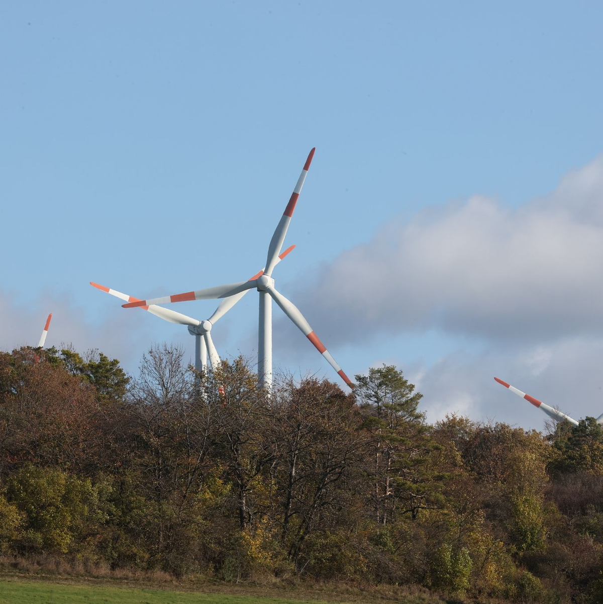 Protest der Landwirte in Thüringen. - Foto: Bodo Schackow/dpa