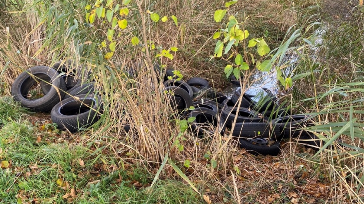 POL-CE: Unerlaubte Entsorgung von Altreifen in der Gemarkung Höfer - Polizei bittet um Zeugenhinweise - Foto: presseportal.de