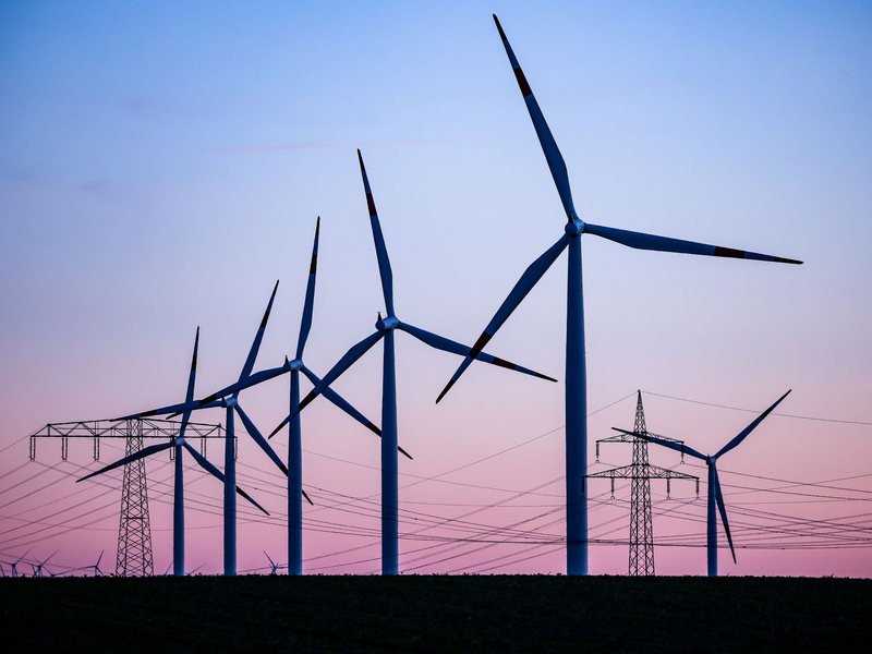 Wind ist der wichtigste erneuerbare Stromlieferant im Osten. (Archivbild) - Foto: Jan Woitas/dpa