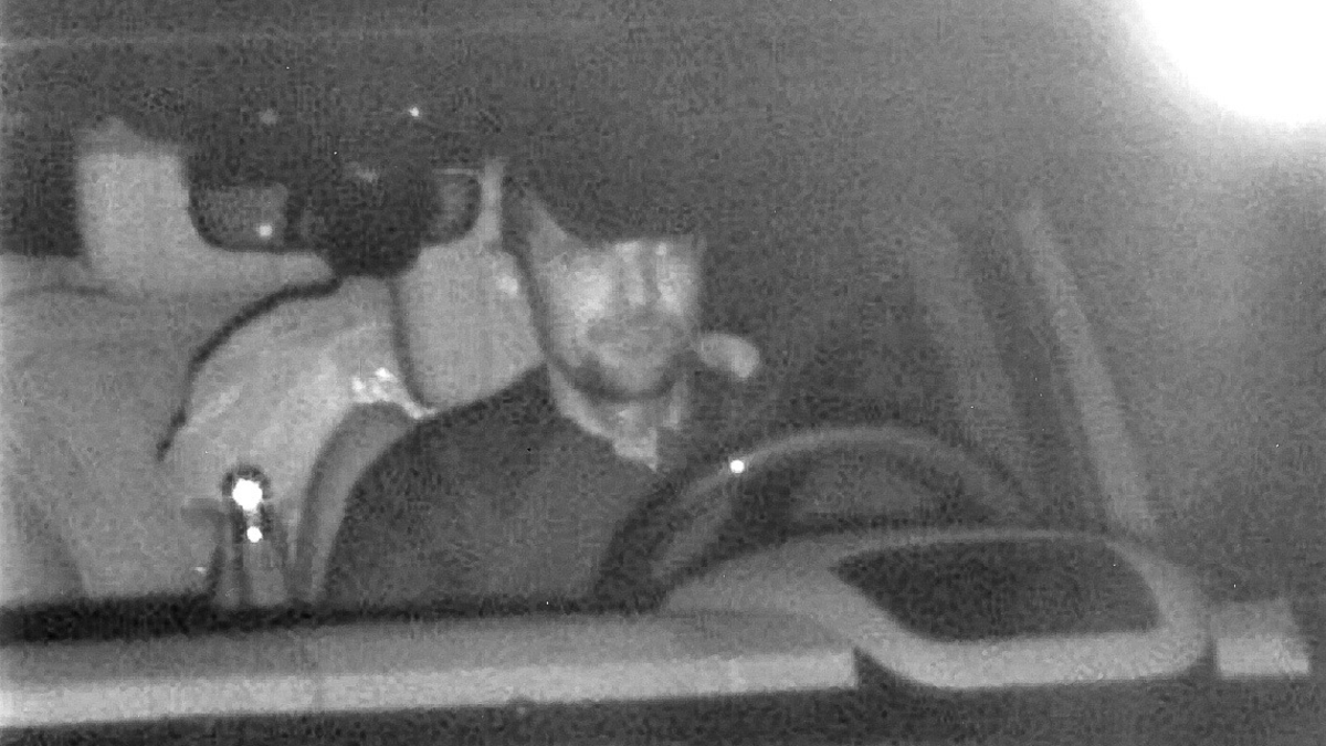 POL-SZ: Pressemitteilung der Polizeiinspektion SZ/PE/WF vom 09.12.2024. - Foto: presseportal.de