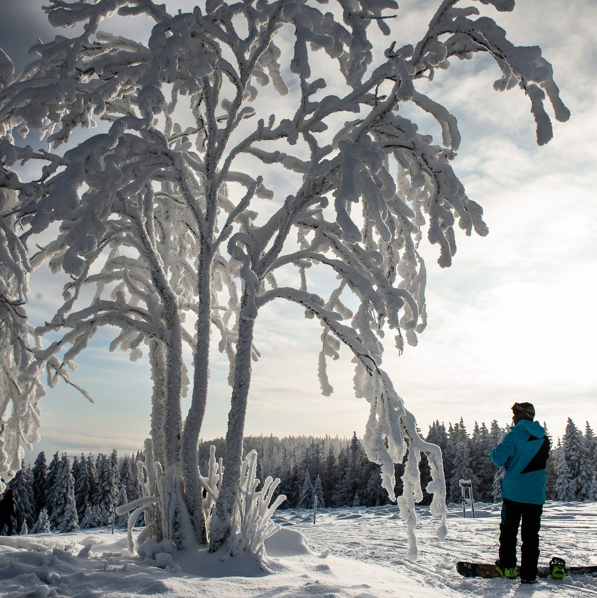Manche nutzen das Wetter für Wintersport.  - Foto: Swen Pförtner/dpa