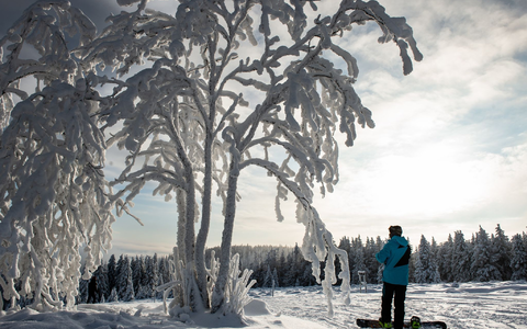Manche nutzen das Wetter für Wintersport.  - Foto: Swen Pförtner/dpa