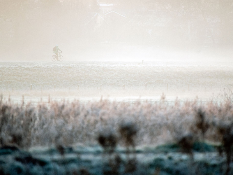 Einsatzkräfte des Technischen Hilfswerks (THW) betreiben am Stadthafen in Oldenburg eine Pumpe, um Wasser von einem Rückhaltebecken in der Innenstadt in die Hunte zu befördern. - Foto: Hauke-Christian Dittrich/dpa