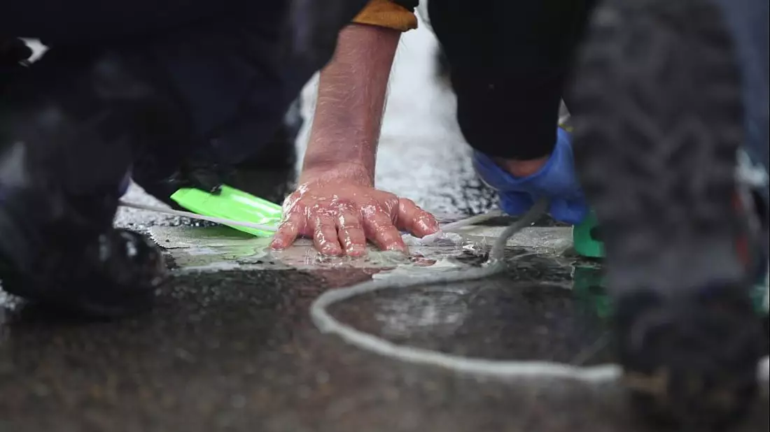 Klimaprotest - Bild: ?ber dts Nachrichtenagentur