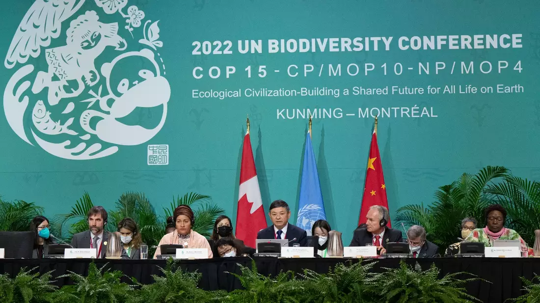 Vor genau einem Jahr haben sich rund 200 Staaten beim COP15-Weltnaturgipfel in Montreal auf einen besseren Schutz der Natur geeinigt. - Bild: Ryan Remiorz/The Canadian Press/AP/dpa