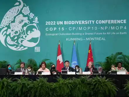 Vor genau einem Jahr haben sich rund 200 Staaten beim COP15-Weltnaturgipfel in Montreal auf einen besseren Schutz der Natur geeinigt. - Foto: Ryan Remiorz/The Canadian Press/AP/dpa