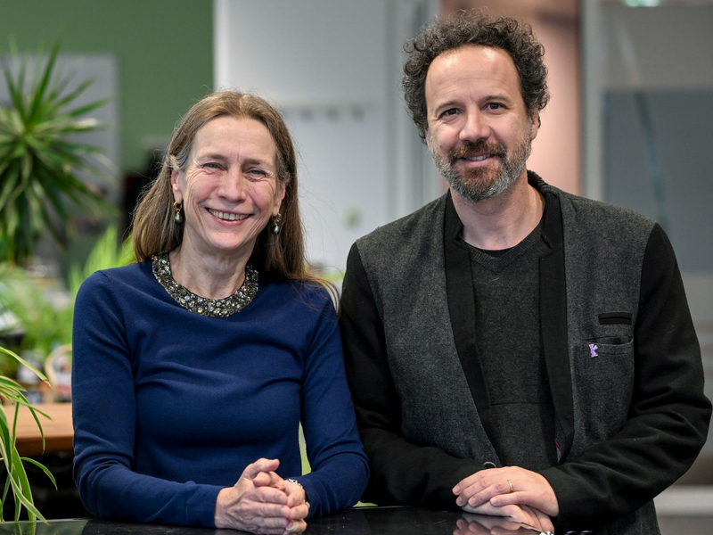 Die Berlinale bekommt eine neue Leitung. - Foto: Jens Kalaene/dpa