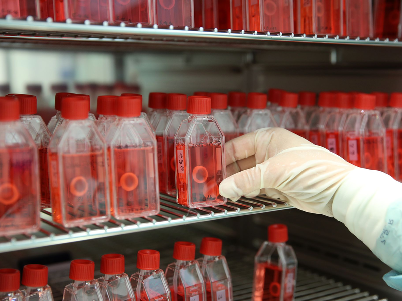 Augenhornhaut ist das am häufigsten gespendete Gewebe in Deutschland. (Archivbild) - Foto: Bernd Wüstneck/dpa-Zentralbild/dpa