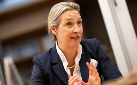 Der Arbeitsvertrag des Referenten der AfD-Parteichefin Alice Weidel wurde mit sofortiger Wirkung aufgelöst, wie die Partei mitteilte. - Foto: Fabian Sommer/dpa