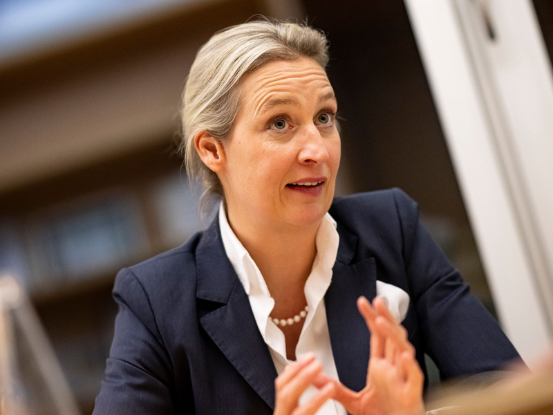 Der Arbeitsvertrag des Referenten der AfD-Parteichefin Alice Weidel wurde mit sofortiger Wirkung aufgelöst, wie die Partei mitteilte. - Foto: Fabian Sommer/dpa