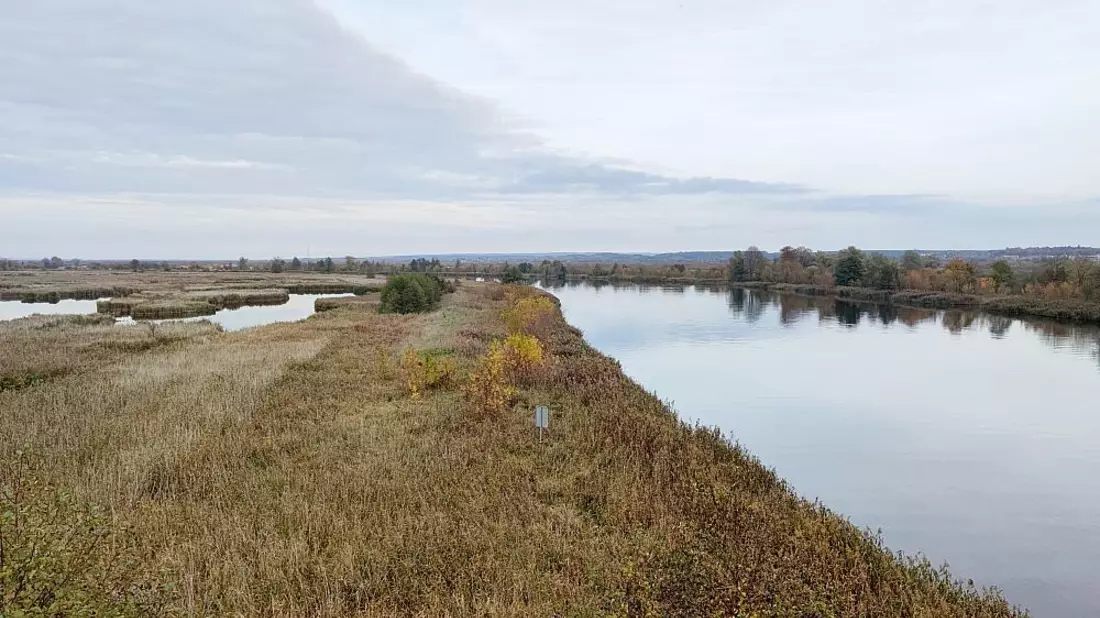 Nationalpark Unteres Odertal - Bild: ?ber dts Nachrichtenagentur