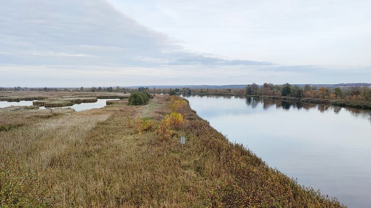 Nationalpark Unteres Odertal - Foto: ?ber dts Nachrichtenagentur