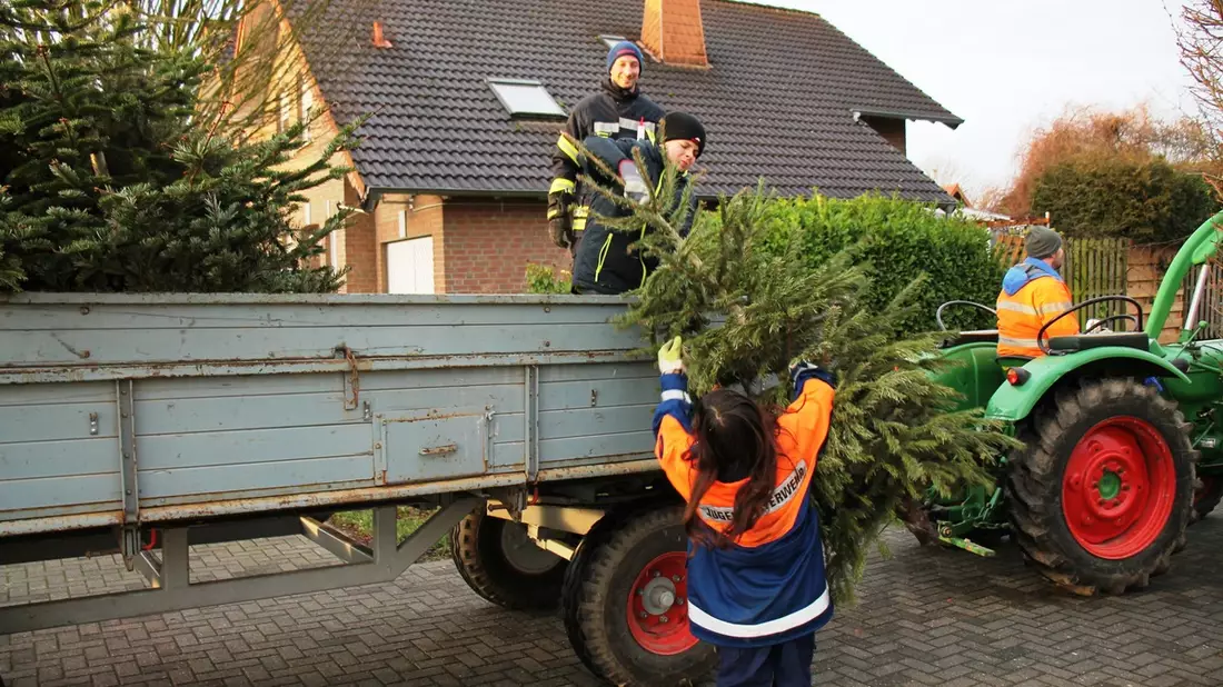 FW Gangelt: Abholung der Weihnachtsbäume durch die Jugendfeuerwehr - Bild: presseportal.de