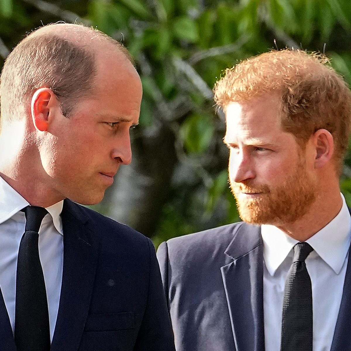 Ein seltenes Bild: Die beiden Royal-Brüder William (l.) und Harry auf einem Foto. (Archivbild) - Foto: Martin Meissner/AP/dpa