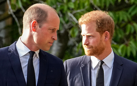 Haben sich angeblich seit langer Zeit nichts zu sagen: die Brüder William und Harry. (Archivbild) - Foto: Martin Meissner/AP/dpa