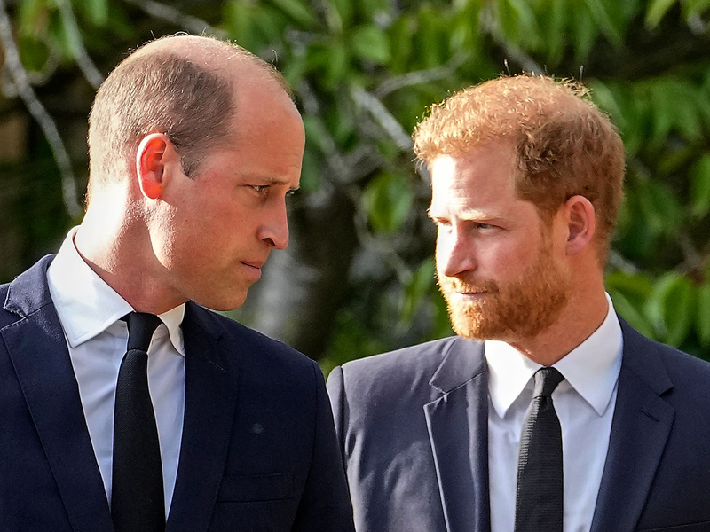 Ein seltenes Bild: Die beiden Royal-Brüder William (l.) und Harry auf einem Foto. (Archivbild) - Foto: Martin Meissner/AP/dpa