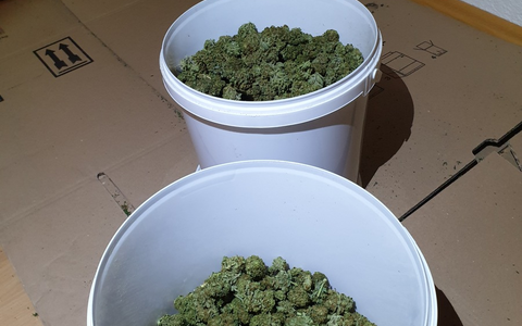 POL-AK NI: Ein Eid für Recht und Freiheit - 675 Polizeikommissaranwärterinnen und -anwärter starten ihren Weg an der Polizeiakademie Niedersachsen - Foto: presseportal.de