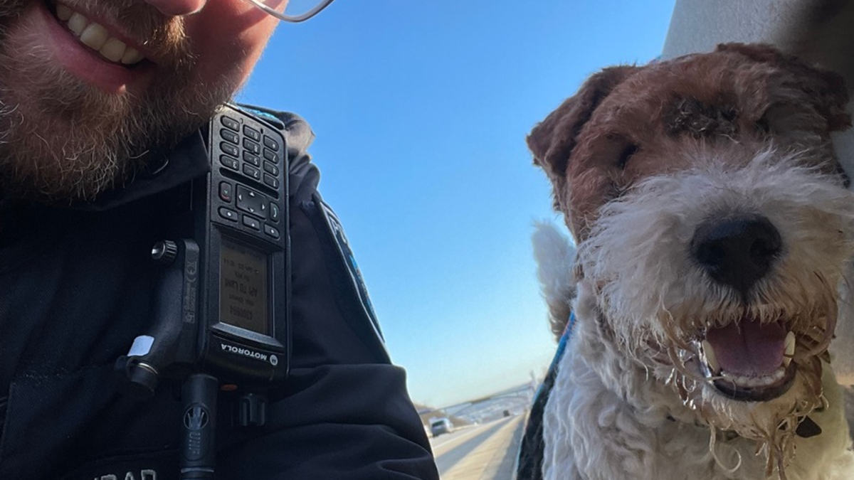 FW Stuttgart: - Vollbrand eines PKW's, sowie starke Rauchentwicklung - Brand droht auf weitere Fahrzeuge überzugreifen - Foto: presseportal.de
