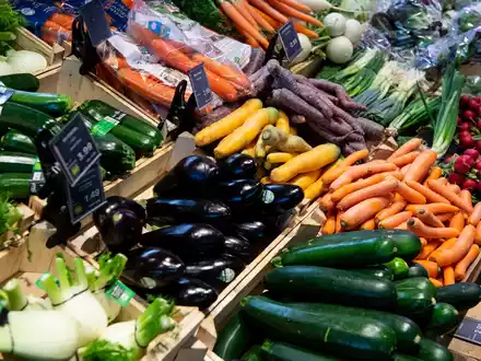 Mehr Fläche für den Anbau von Bio-Gemüse in Deutschland (Symbolbild) - Foto: Sven Hoppe/dpa