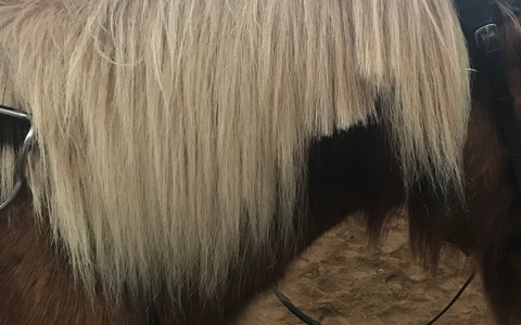 POL-UL: (BC) Ochsenhausen - Diebstahl auf Friedhof / Ein Unbekannter entwendete in den vergangenen Tagen eine Bronzeskulptur in Ochsenhausen. - Foto: presseportal.de