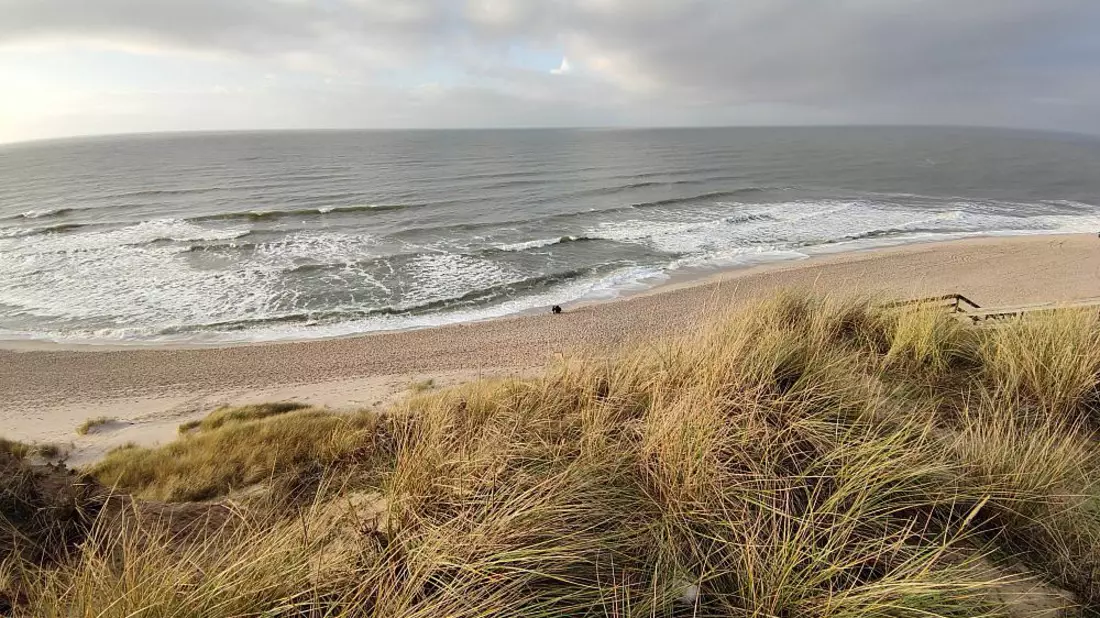 Dünen am Strand - Bild: ?ber dts Nachrichtenagentur
