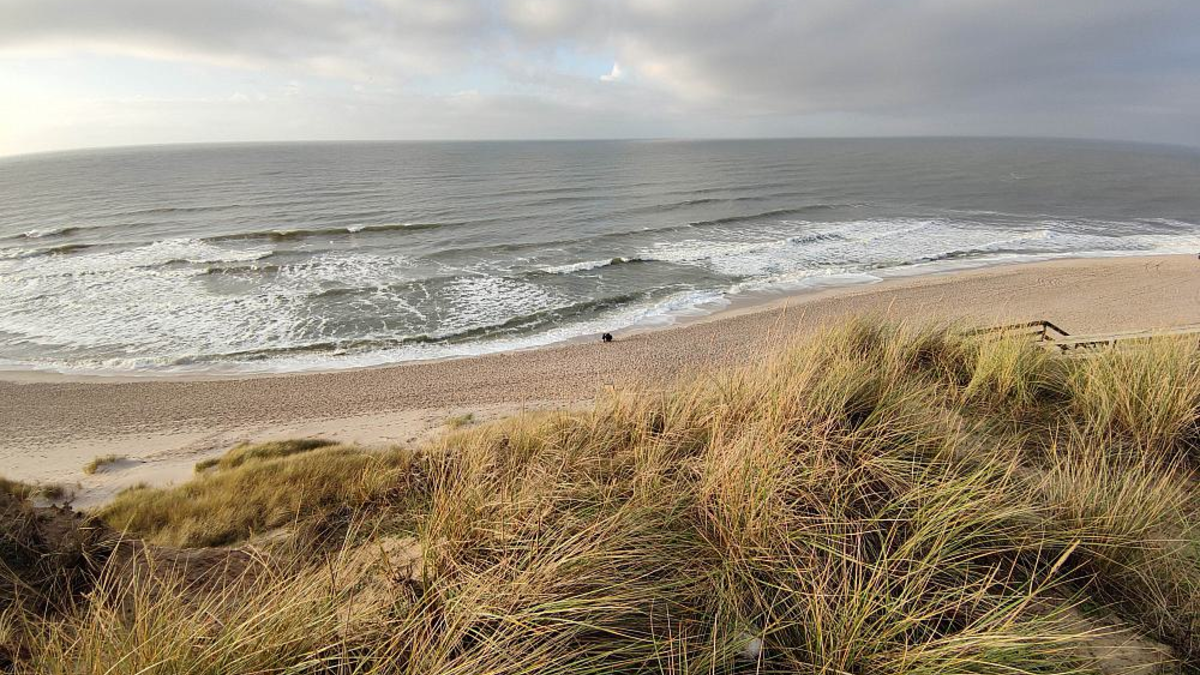Dünen am Strand - Foto: ?ber dts Nachrichtenagentur
