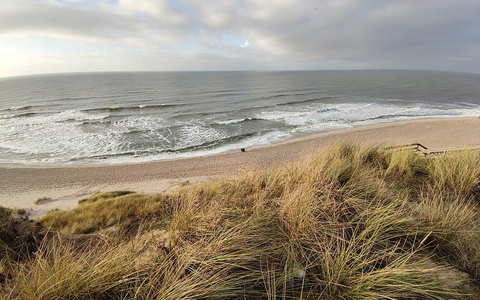 Dünen am Strand - Foto: ?ber dts Nachrichtenagentur