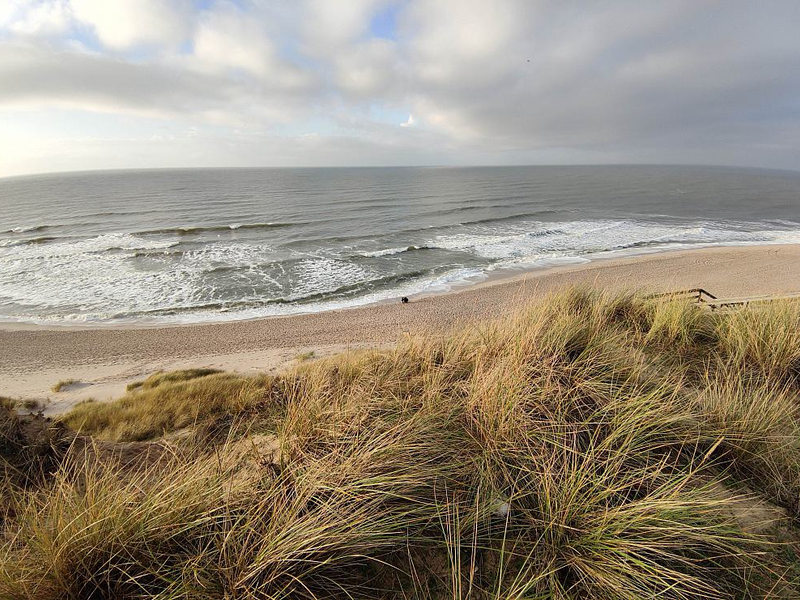 Dünen am Strand - Foto: ?ber dts Nachrichtenagentur