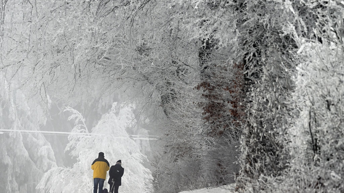 Regen statt Schnee - so lautet die Wettervorhersage des DWD für weite Teile Deutschlands.  - Foto: Federico Gambarini/dpa